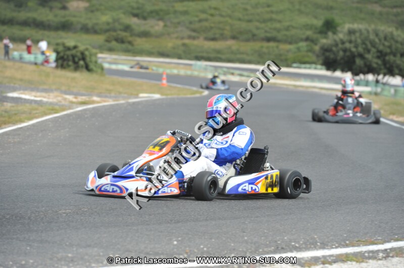 DSC (3541).JPG